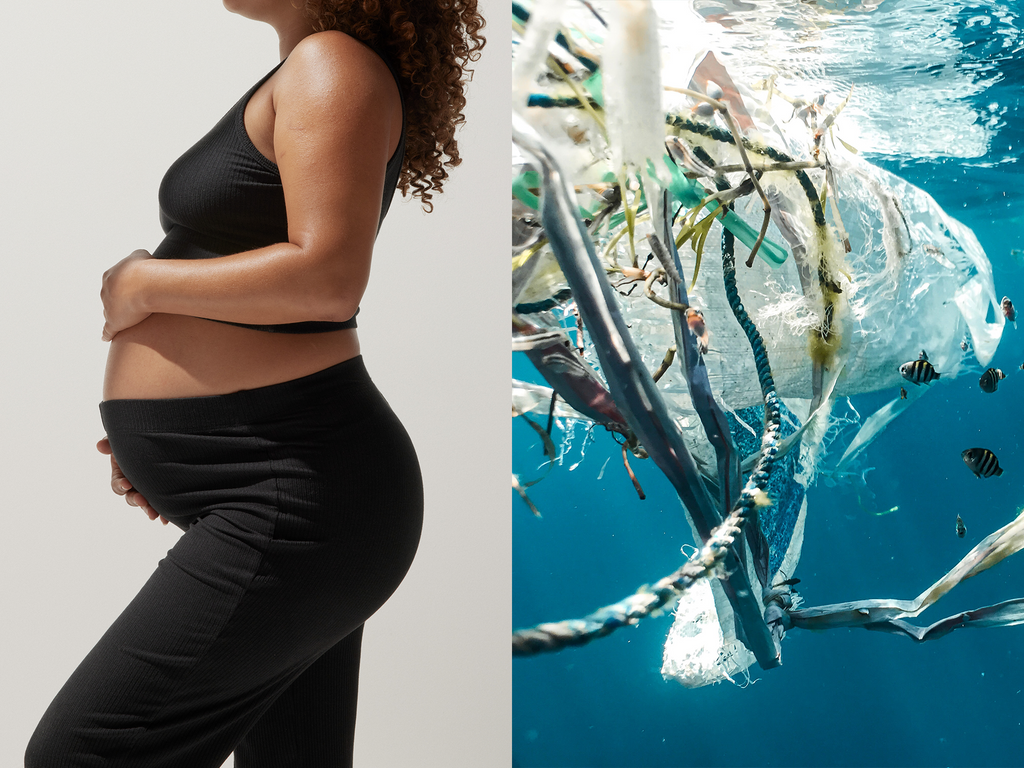 Microplastics in Our Bodies MATE the Label