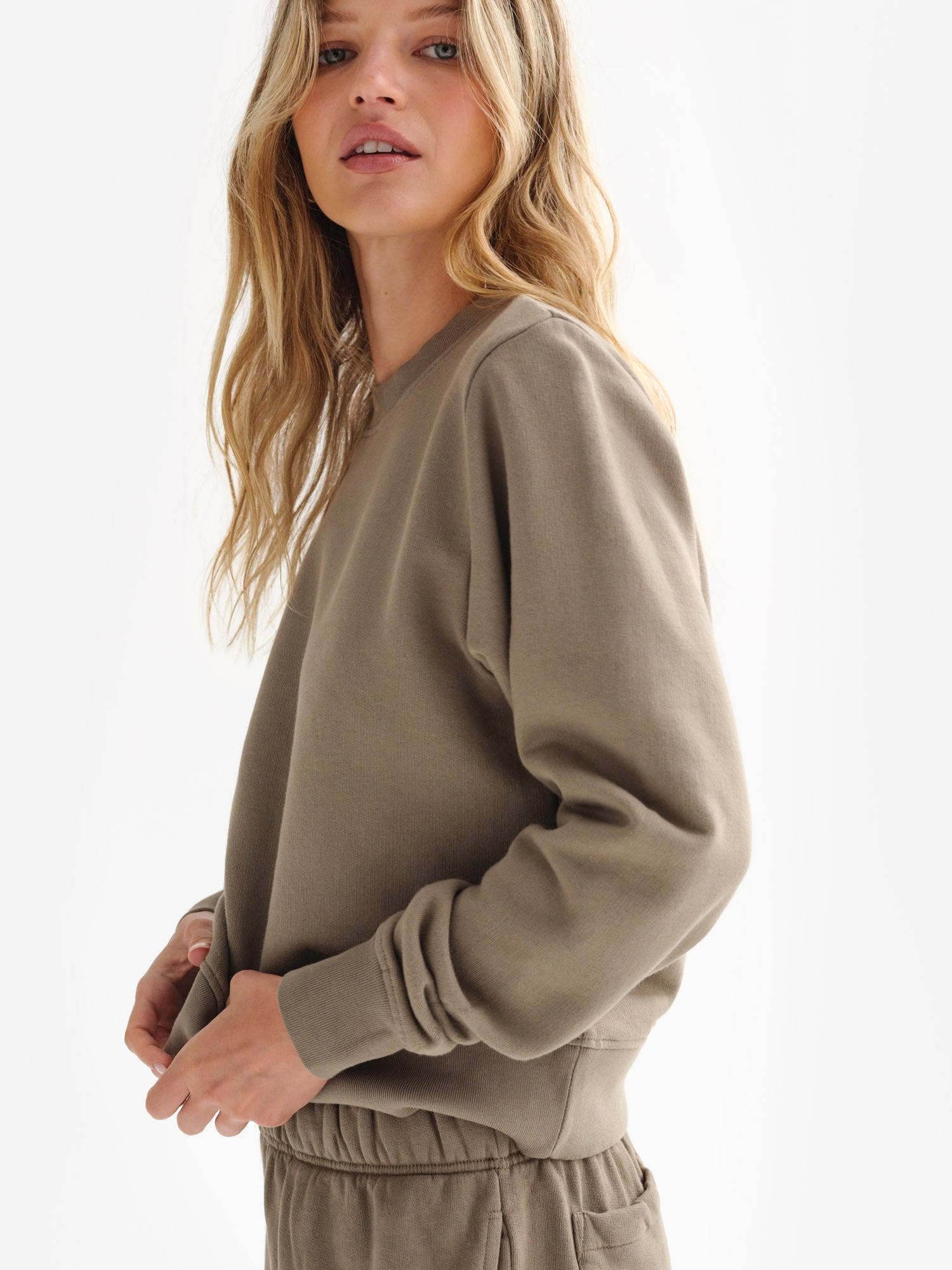 NEAT｜Cotton Kersey｜Brown - WIDE｜PRODUCT｜Continuer Inc