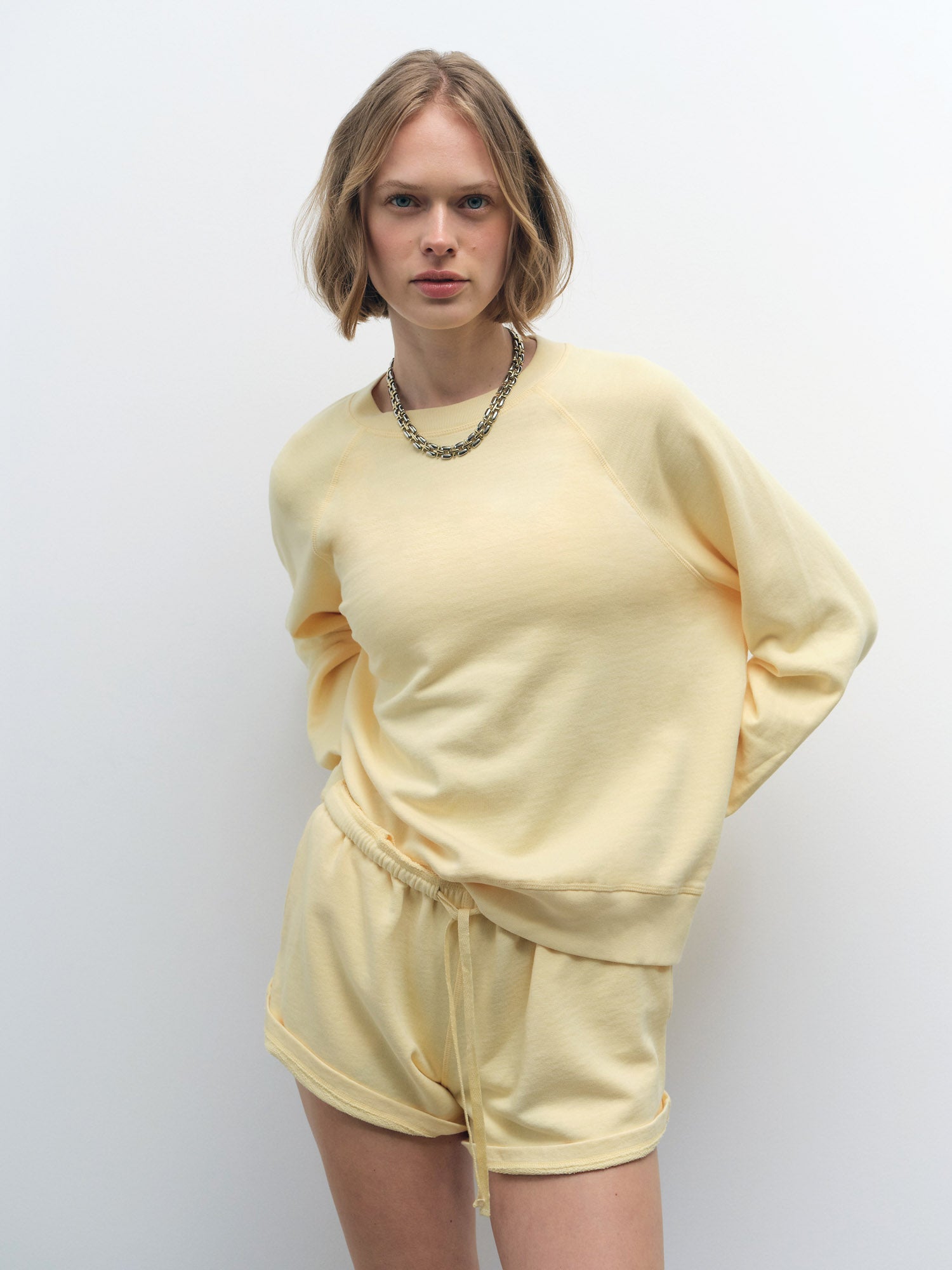 AMERI SHEER RAGLAN SWEAT アメリ 02020320010 Ameri アメリSHEER RAGLAN SWEAT シアースウェット - メルカリ